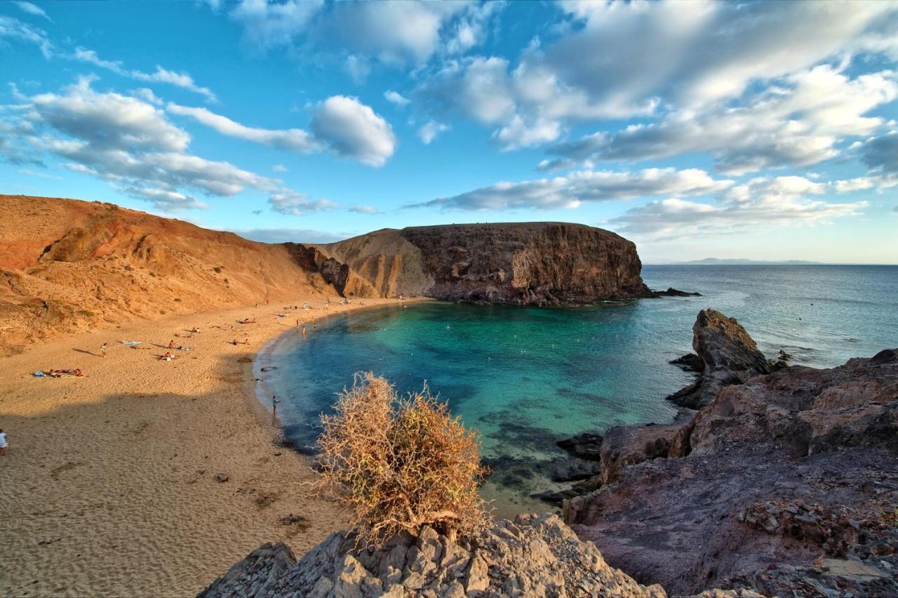 D Lanzarote Arrecife (Lanzarote)